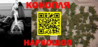 соль ск Можга