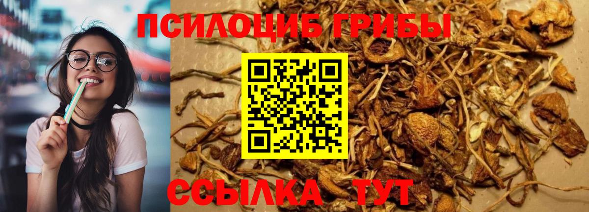 Галлюциногенные грибы мицелий  Вход с VPN  где найти наркотики  Чапаевск 