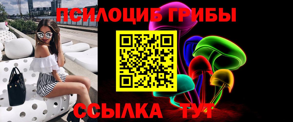 Псилоцибиновые грибы мицелий Чапаевск